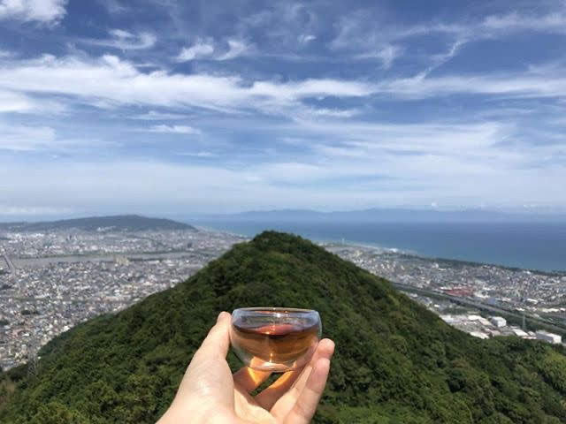 Thé vert de Shizuoka : terroirs, Yabukita et fukamushi