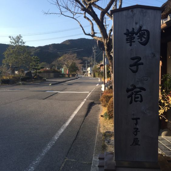 Mariko et le wakôcha : mon histoire avec le thé noir japonais