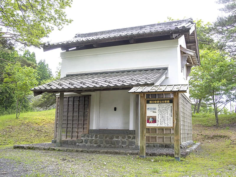 Edition limitée x Kuradashi sencha torréfié 50g