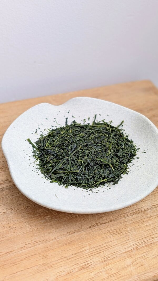 Shincha 2025 - Haru no kaze